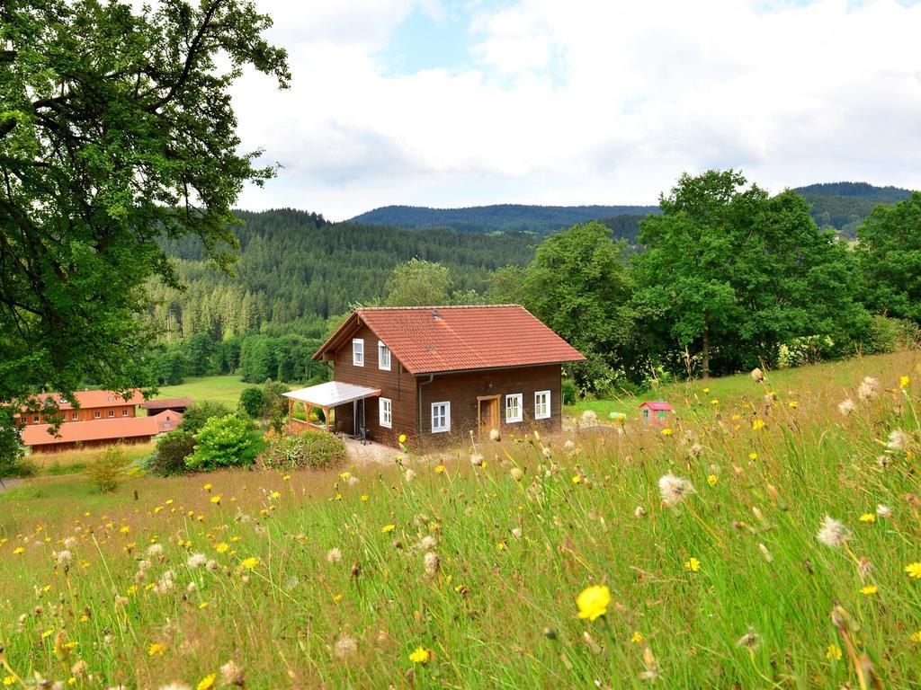 Comfort Apartment With Balcony In The Beautiful Bavarian Forest Drachselsried Ngoại thất bức ảnh